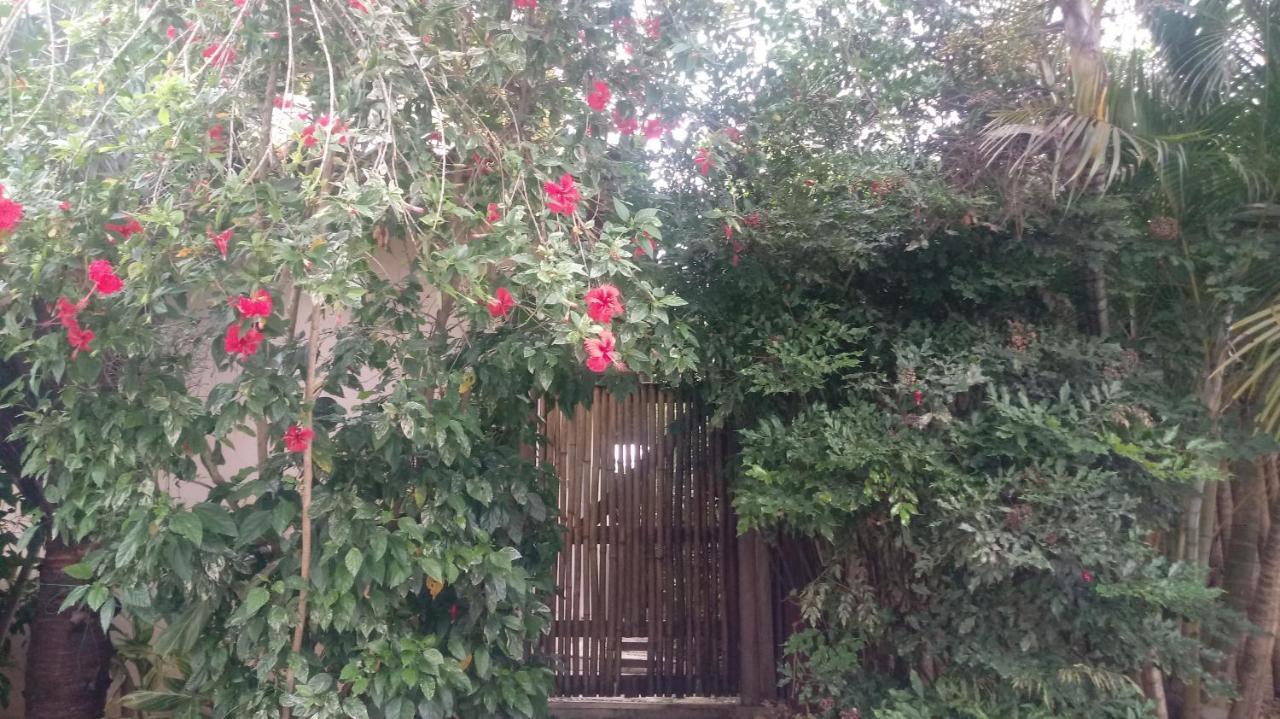 Lá Tropezina Búzios Exterior foto